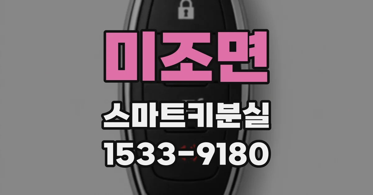 미조면 스마트키분실