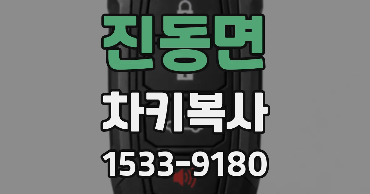 진동면 차키복사