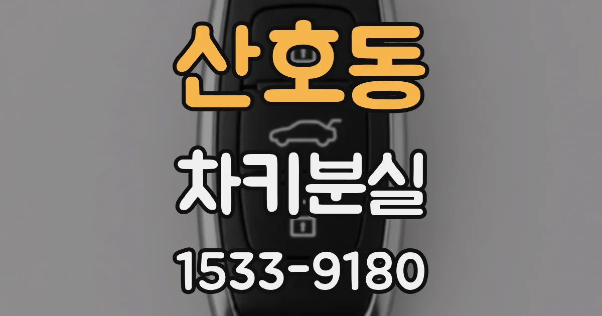 산호동 차키분실