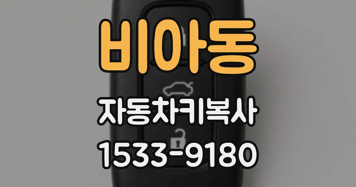 비아동 자동차키복사