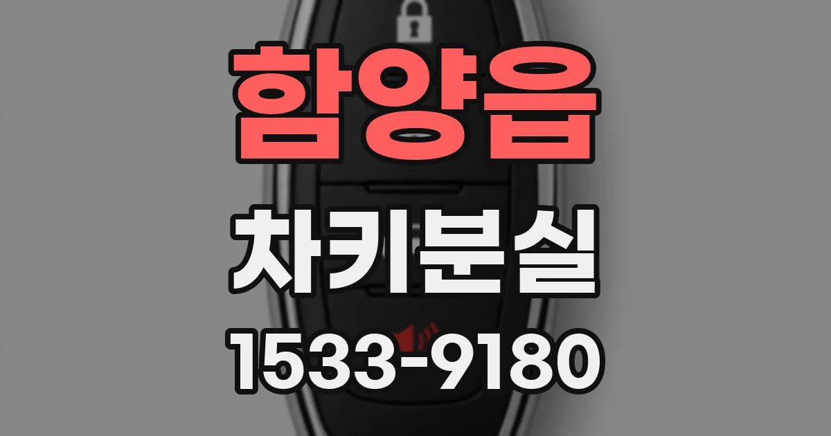 함양읍 차키분실
