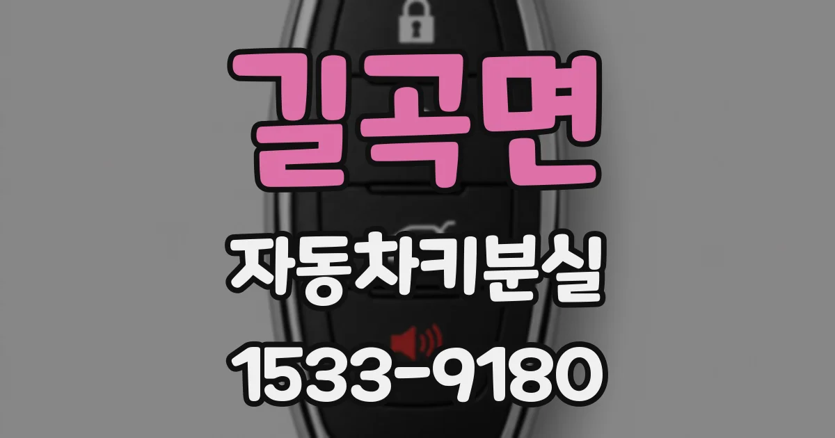 길곡면 자동차키분실