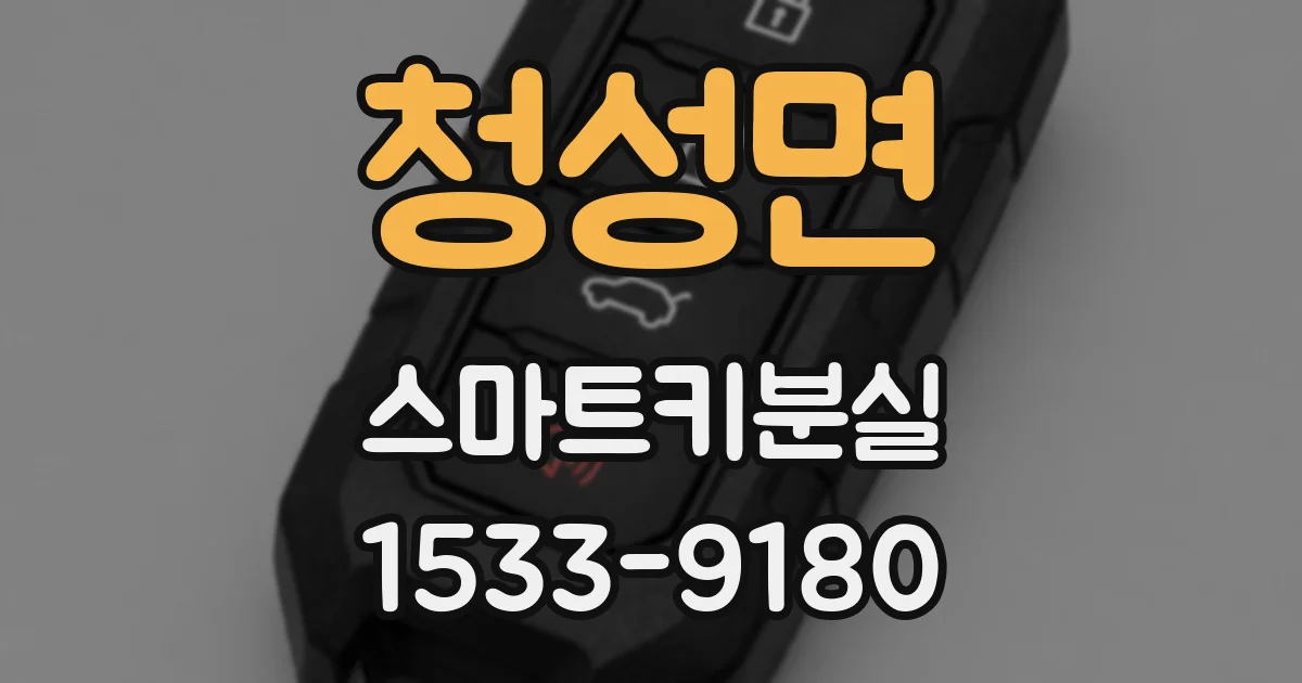 청성면 스마트키분실