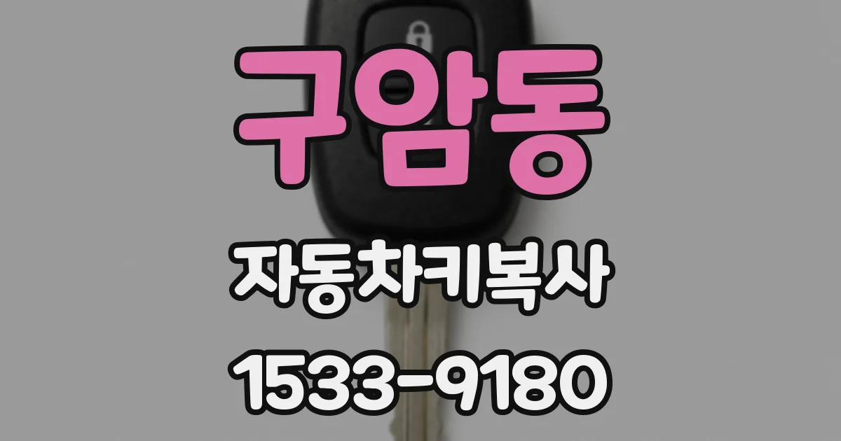 구암동 자동차키복사