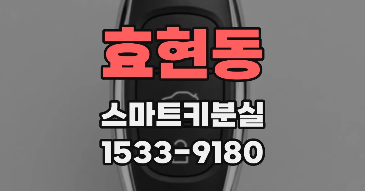 효현동 스마트키분실