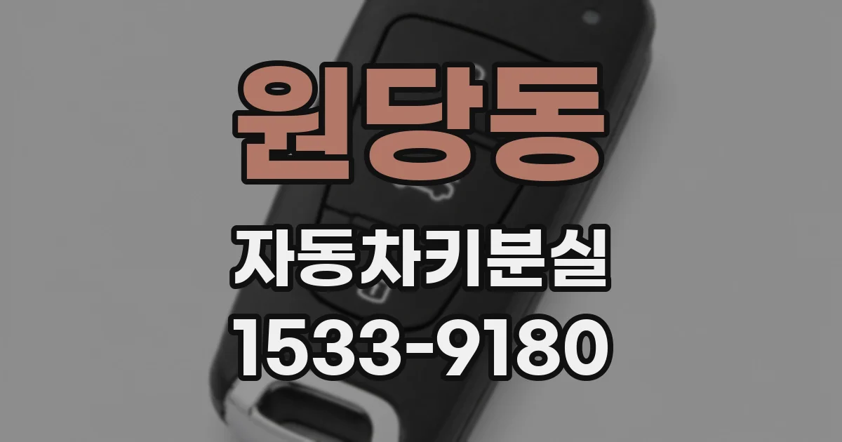원당동 자동차키분실