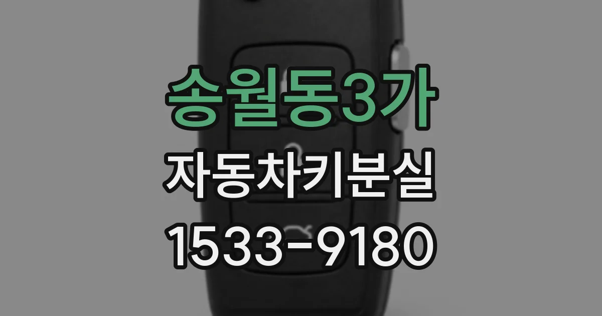 송월동3가 자동차키분실