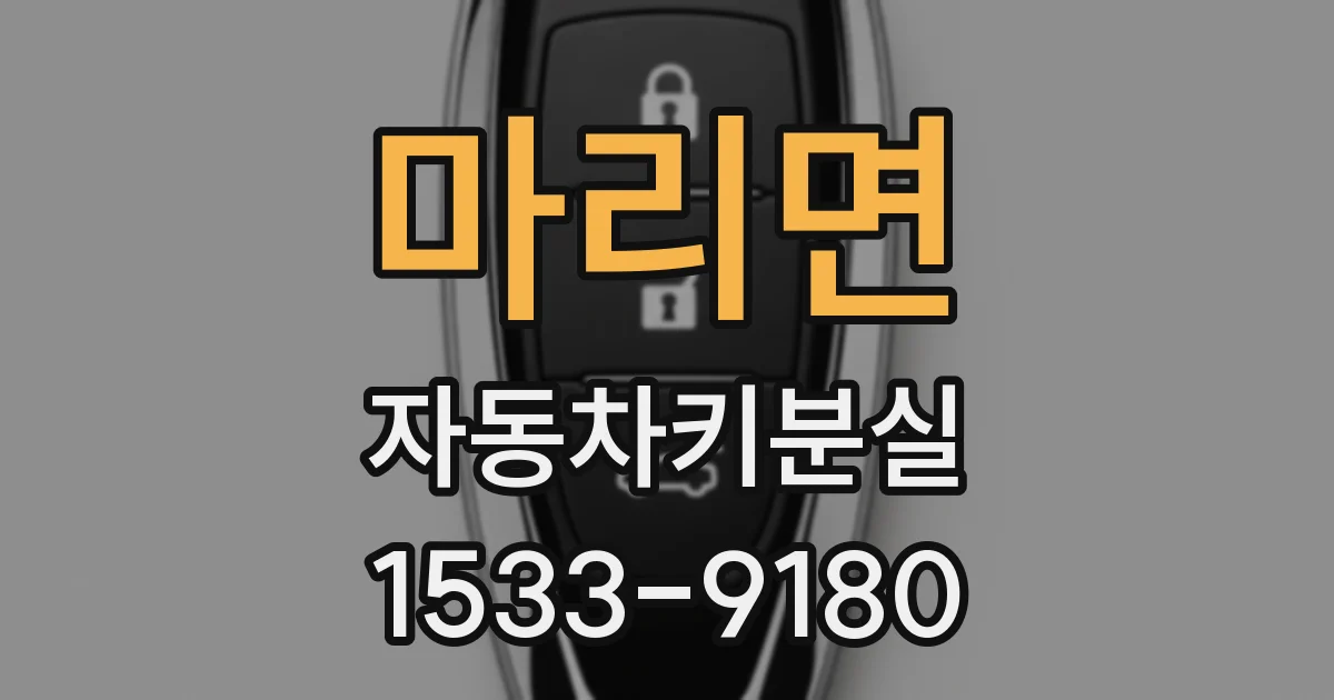 마리면 자동차키분실