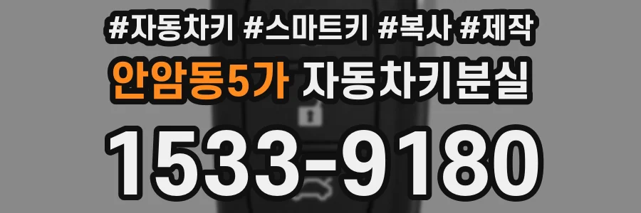 안암동5가 자동차키분실