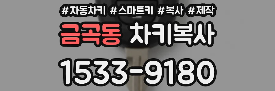 금곡동 차키복사