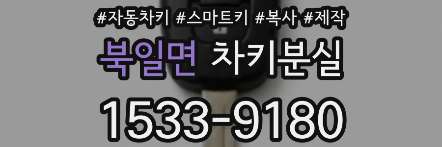 북일면 차키분실