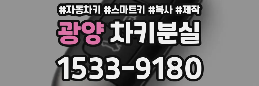 광양 차키분실
