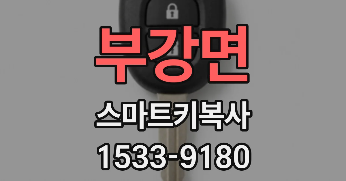 부강면 스마트키복사