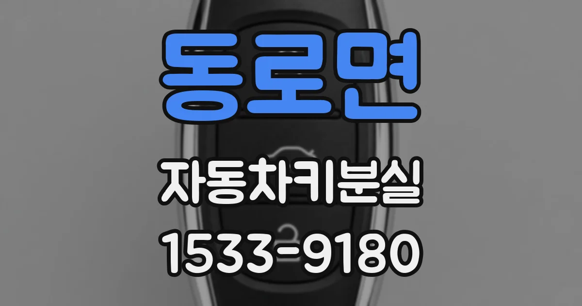동로면 자동차키분실
