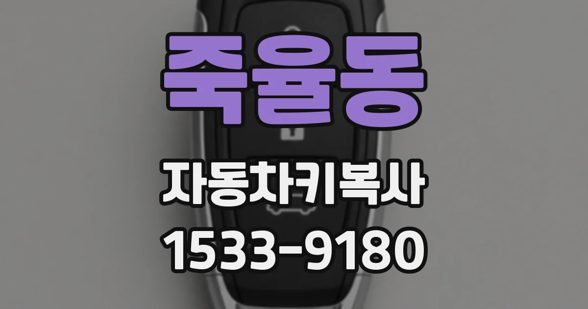 죽율동 자동차키복사