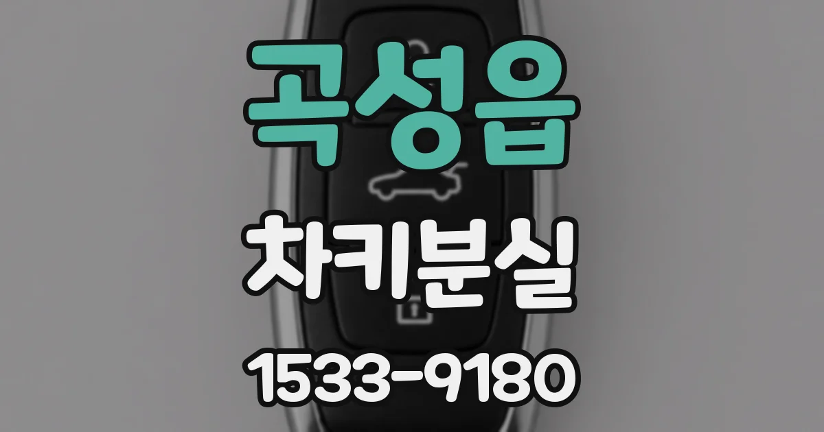 곡성읍 차키분실