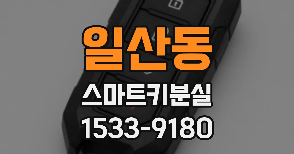 일산동 스마트키분실