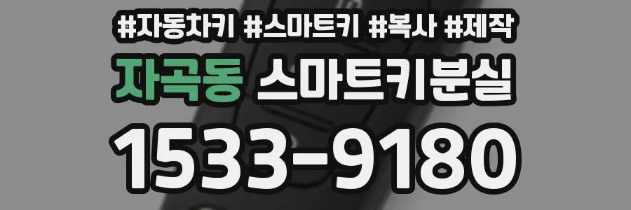 자곡동 스마트키분실