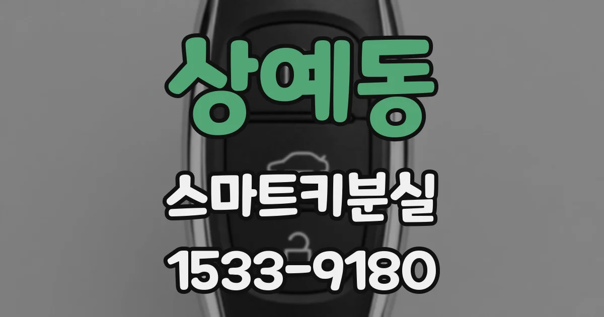 상예동 스마트키분실