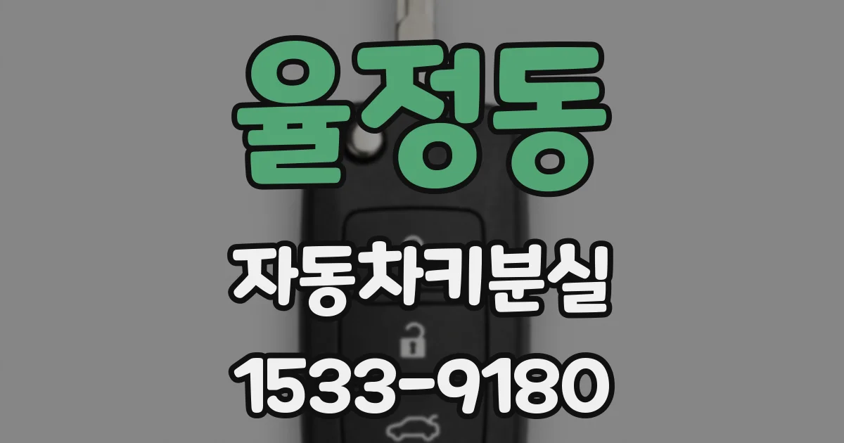 율정동 자동차키분실