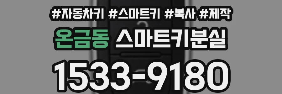 온금동 스마트키분실