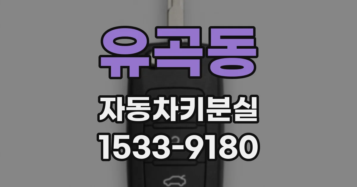 유곡동 자동차키분실
