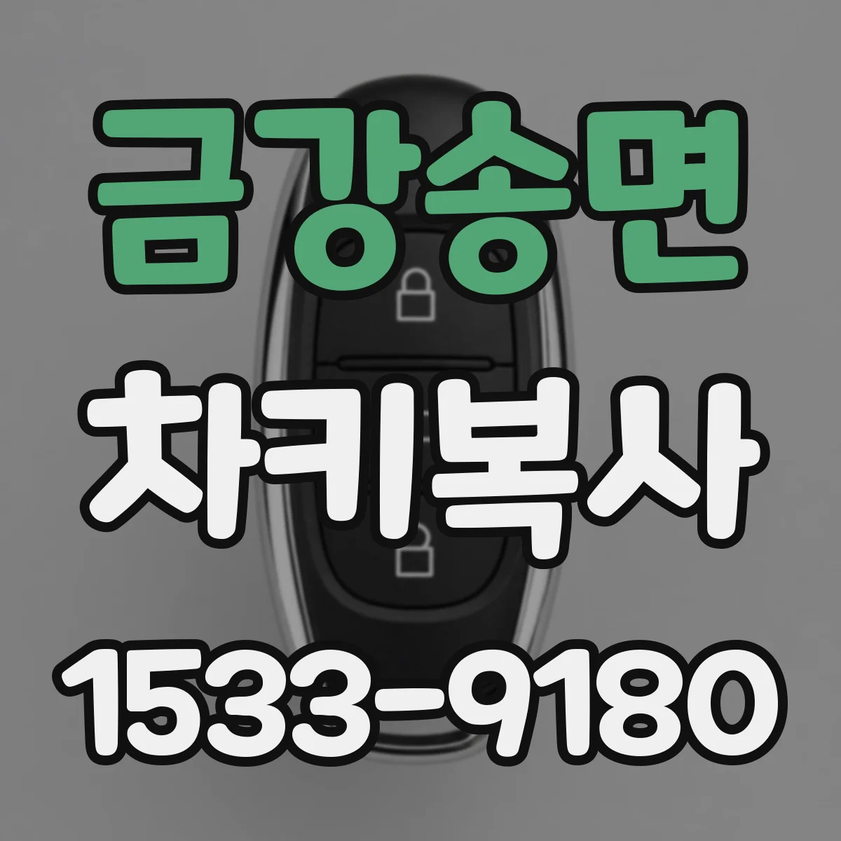 금강송면 차키복사