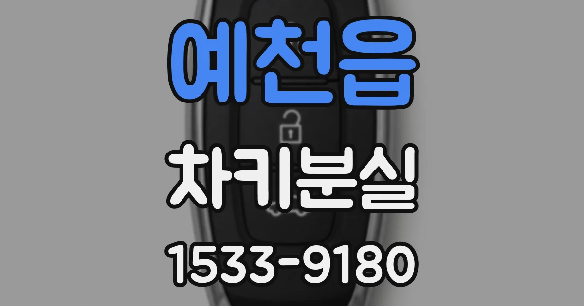 예천읍 차키분실
