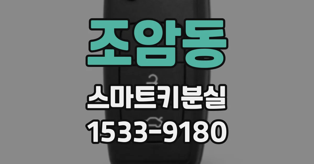 조암동 스마트키분실