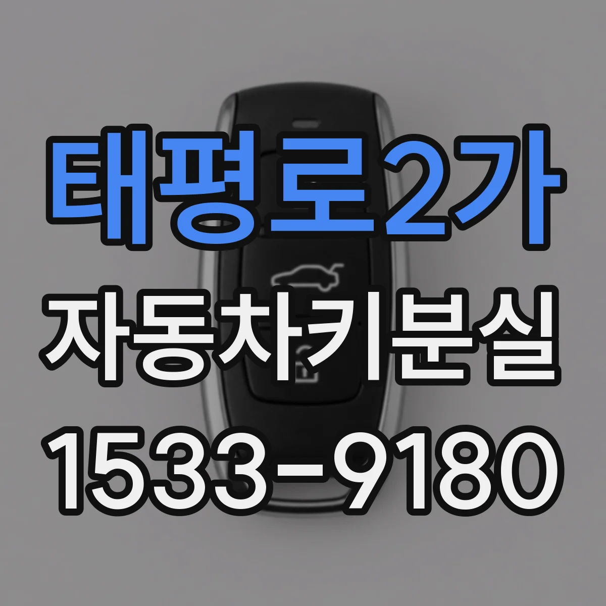 태평로2가 자동차키분실