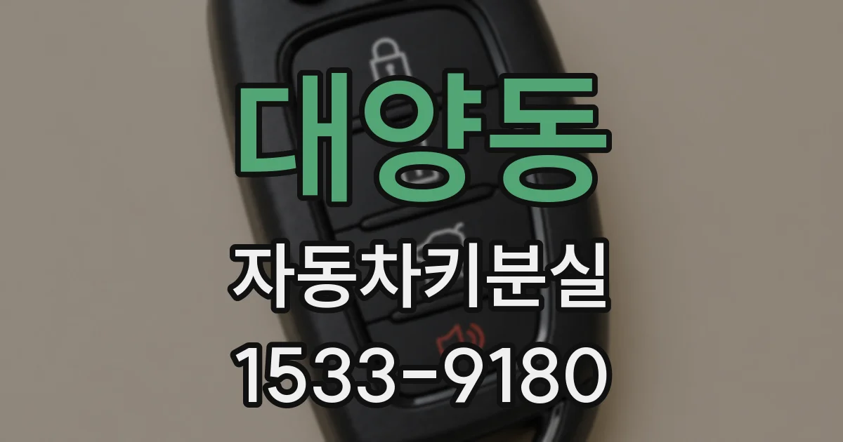 대양동 자동차키분실