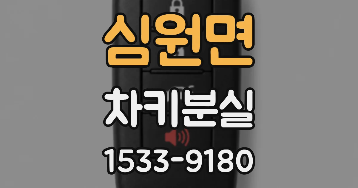심원면 차키분실