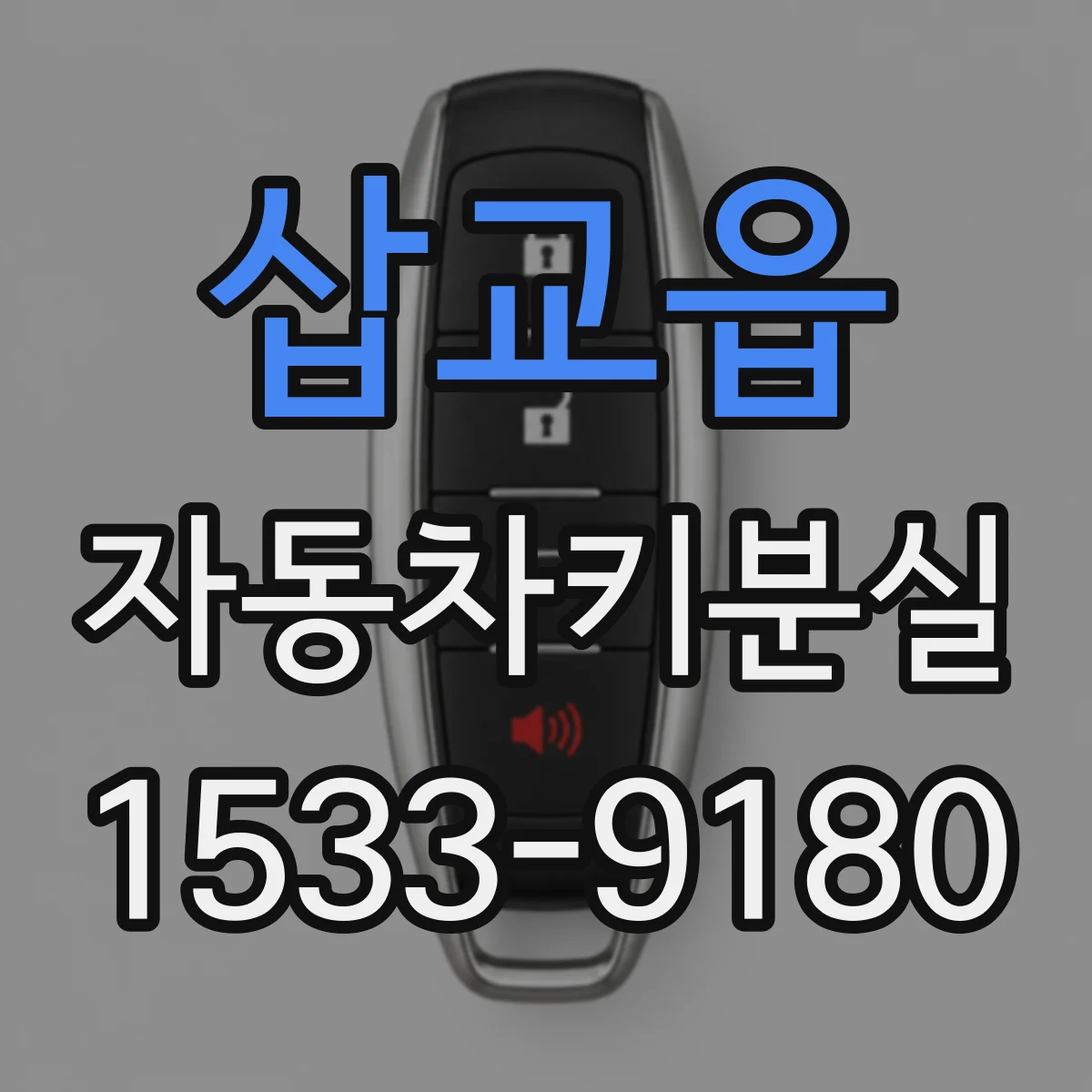 삽교읍 자동차키분실