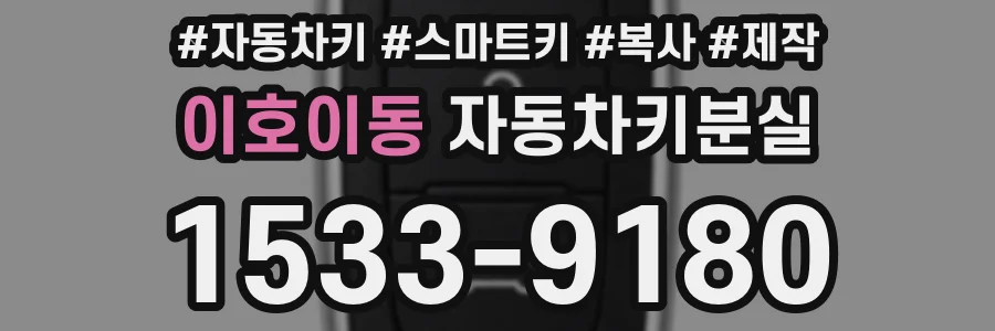 이호이동 자동차키분실