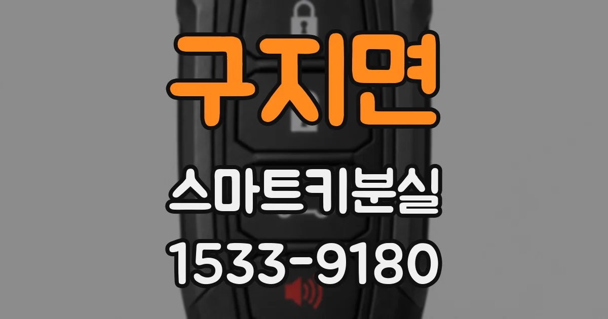 구지면 스마트키분실