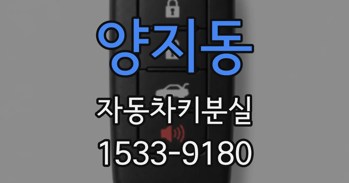 양지동 자동차키분실