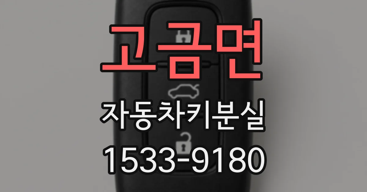 고금면 자동차키분실