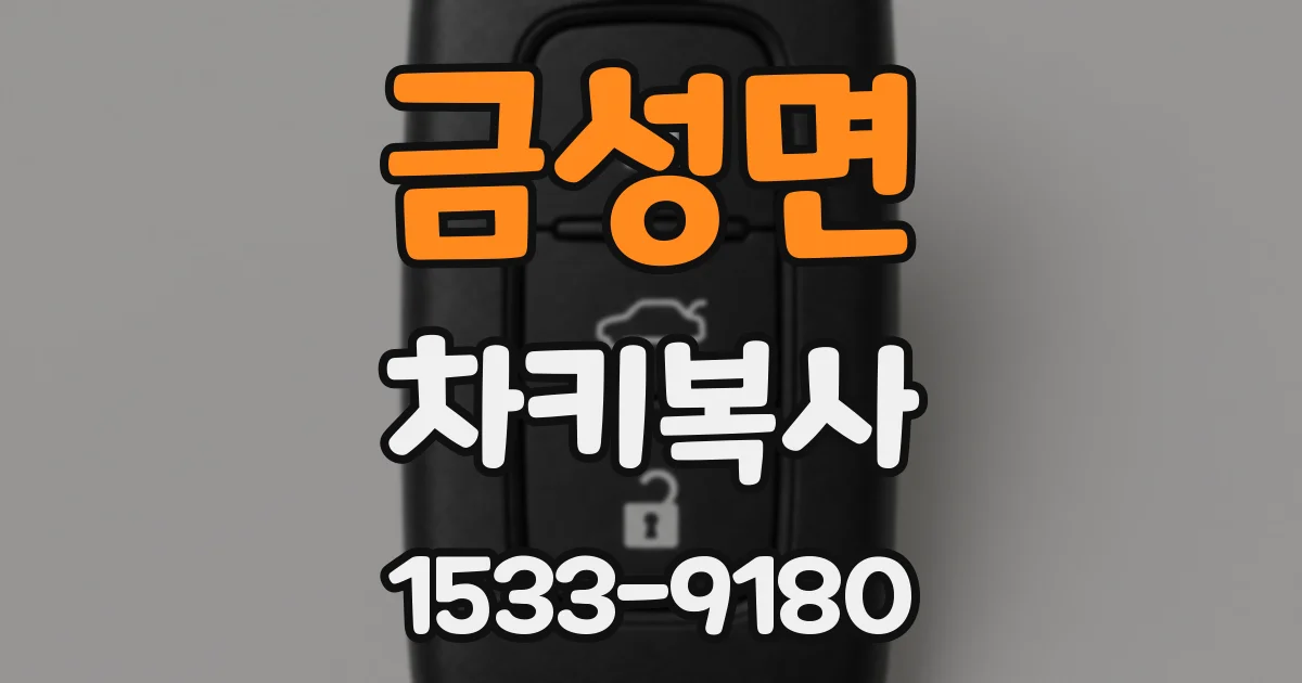금성면 차키복사
