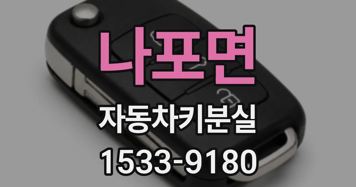 나포면 자동차키분실