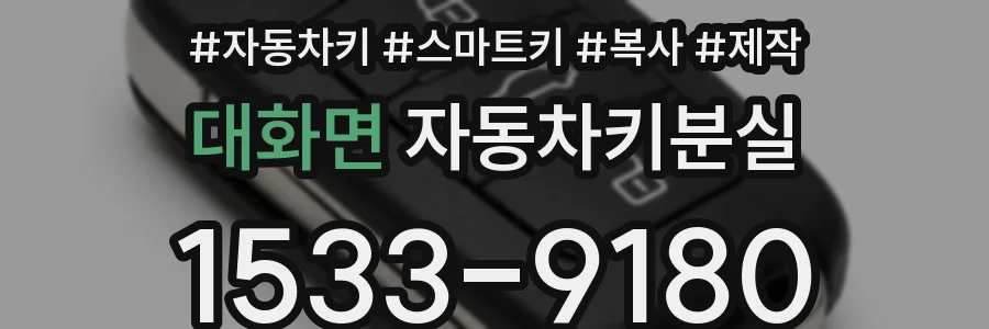 대화면 자동차키분실