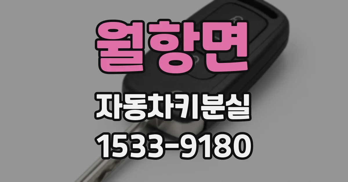 월항면 자동차키분실