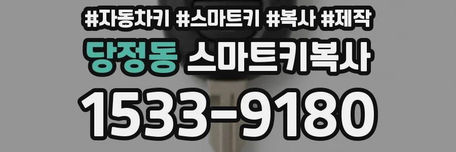 당정동 스마트키복사