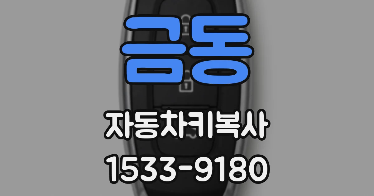 금동 자동차키복사