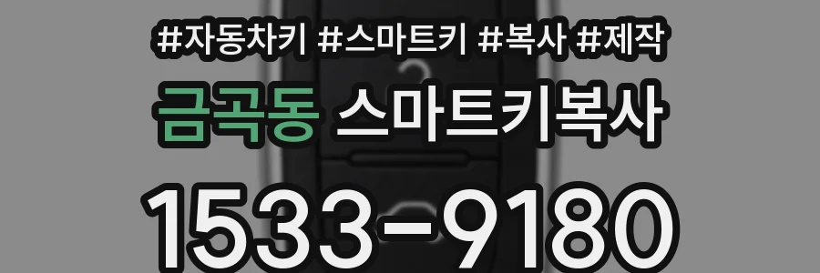 금곡동 스마트키복사