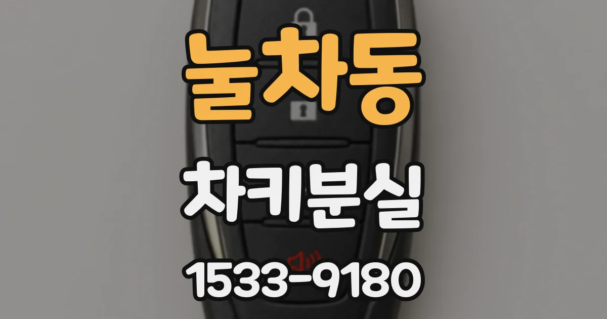눌차동 차키분실