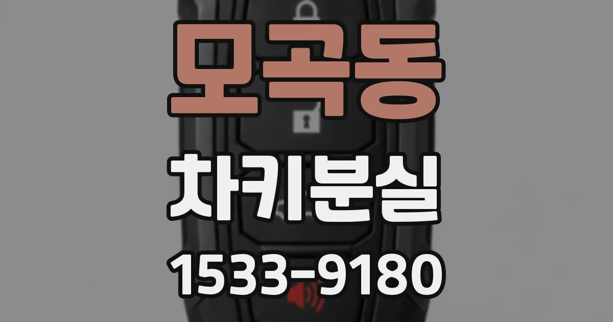 모곡동 차키분실