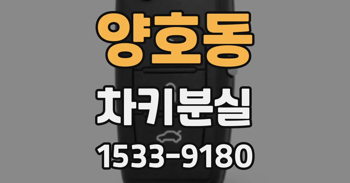 양호동 차키분실