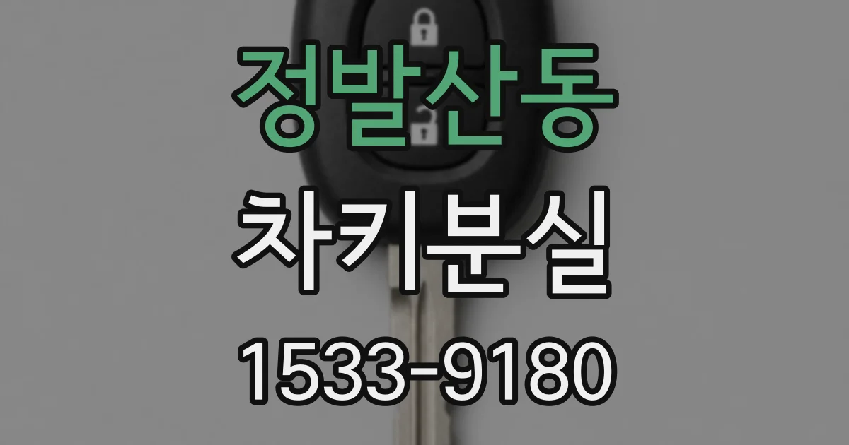 정발산동 차키분실