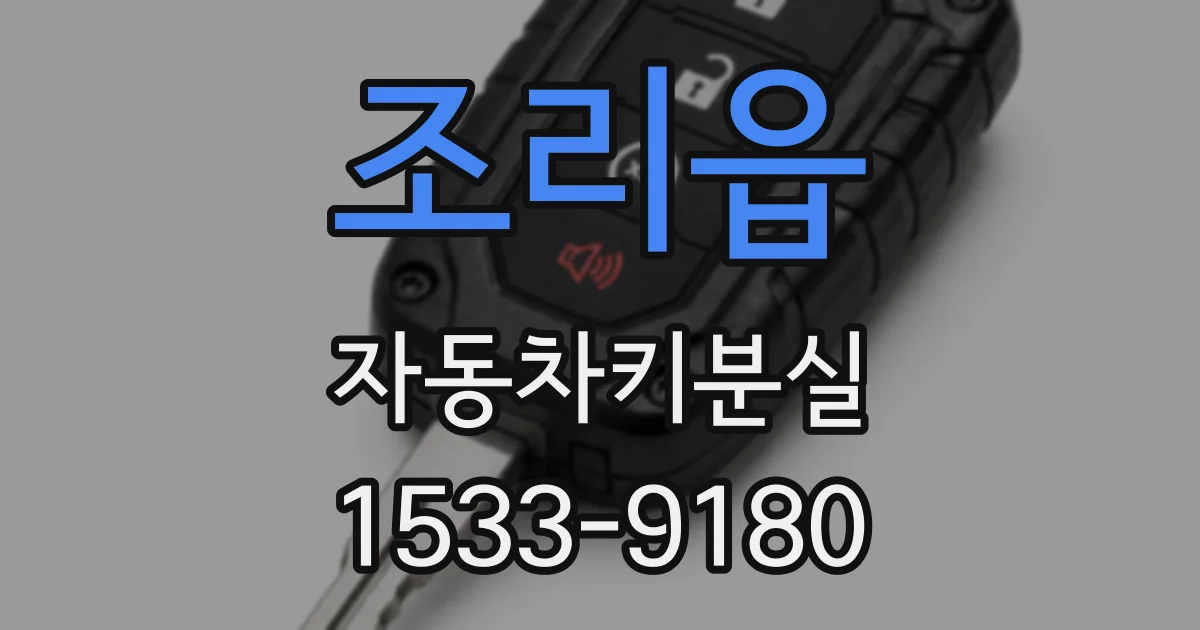 조리읍 자동차키분실