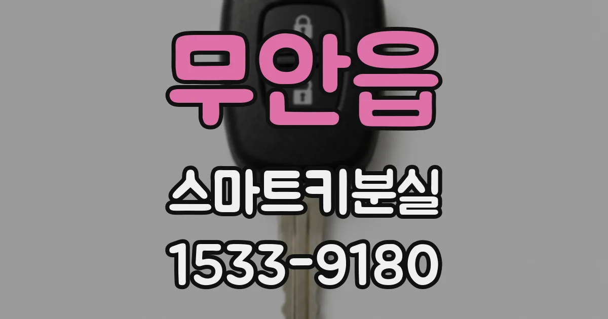 무안읍 스마트키분실